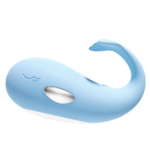Wearable Remote Vibrating Egg