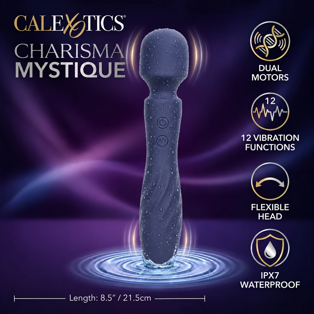Charisma Mystique feature artwork showing dual motors, twelve functions, flexible head and IPX7 waterproofing